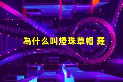 為什么叫燈珠草帽 羅為什么叫草帽當(dāng)家